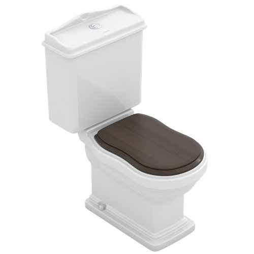 Paquete de inodoro enchufe vertical naturaleza fósil atenas mar