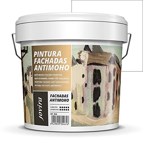 Pintura de fachada antimoho.  Impermeable, impermeable y resistente a las grietas.  (5 kilogramos, blanco)