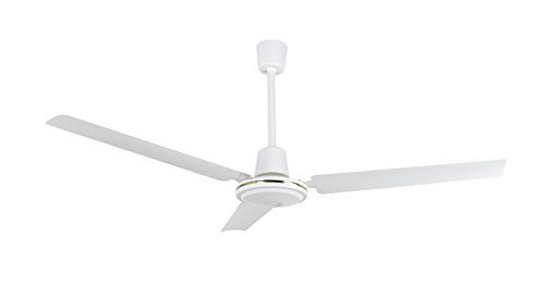 Orbegozo CF 85120 - Ventilador de techo de 5 velocidades, interruptor de pared, 3 palas, diámetro 120 cm, 70 W, blanco